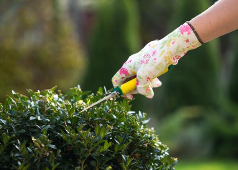 Professional hedge cutting for a residential property in Richmonduponthames