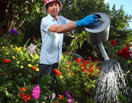Careful hedge shaping for a front garden in Richmonduponthames