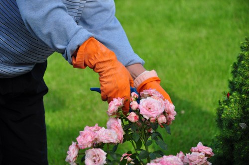 Accessibility support request section for tree surgeon users