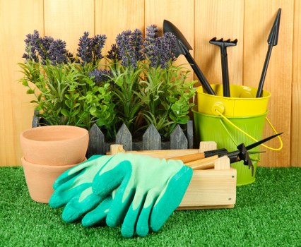 Cookie policy update notice for Tree Surgeon Richmonduponthames